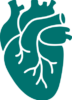 Cardiovascular and Thoracic Surgery